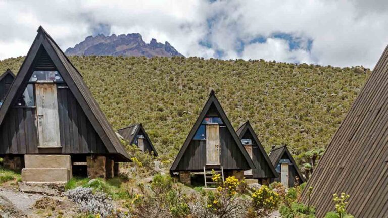 6-Days-Kilimanjaro-Climb-Marangu-Route-1